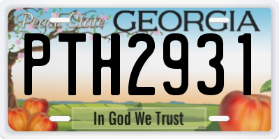 GA license plate PTH2931