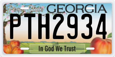 GA license plate PTH2934