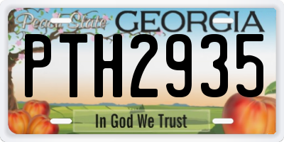 GA license plate PTH2935