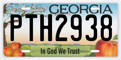 GA license plate PTH2938