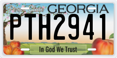 GA license plate PTH2941