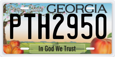 GA license plate PTH2950