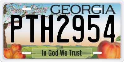 GA license plate PTH2954
