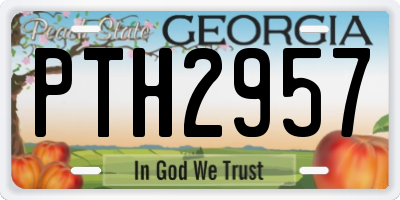 GA license plate PTH2957