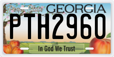 GA license plate PTH2960