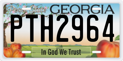 GA license plate PTH2964