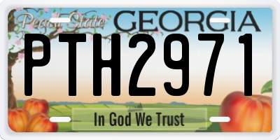 GA license plate PTH2971