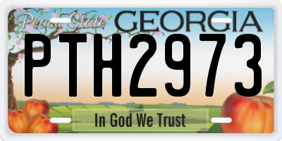 GA license plate PTH2973