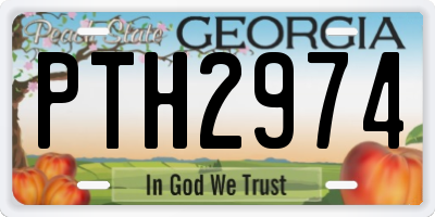 GA license plate PTH2974