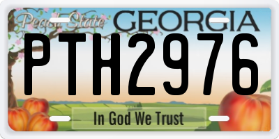 GA license plate PTH2976