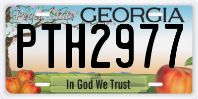 GA license plate PTH2977
