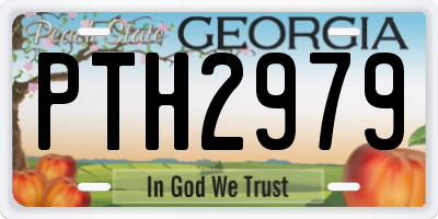 GA license plate PTH2979