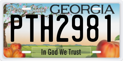 GA license plate PTH2981