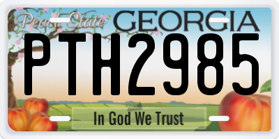 GA license plate PTH2985