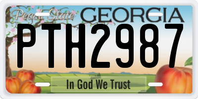GA license plate PTH2987