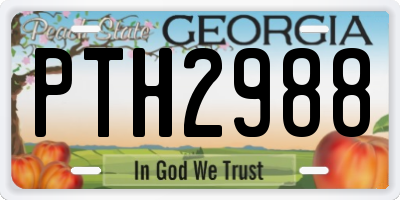 GA license plate PTH2988
