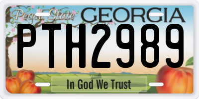 GA license plate PTH2989