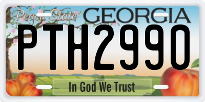GA license plate PTH2990