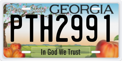 GA license plate PTH2991