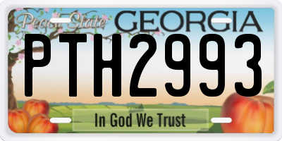 GA license plate PTH2993
