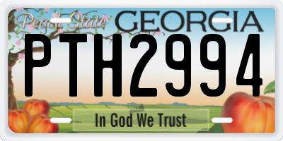 GA license plate PTH2994