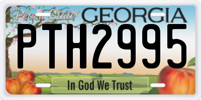 GA license plate PTH2995