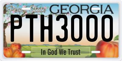 GA license plate PTH3000