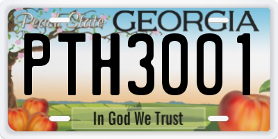 GA license plate PTH3001