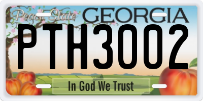 GA license plate PTH3002