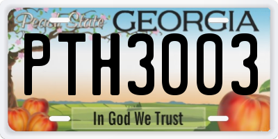 GA license plate PTH3003