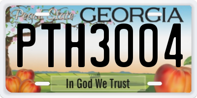 GA license plate PTH3004