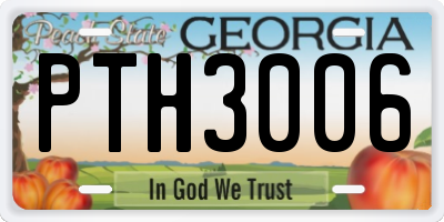 GA license plate PTH3006