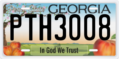 GA license plate PTH3008