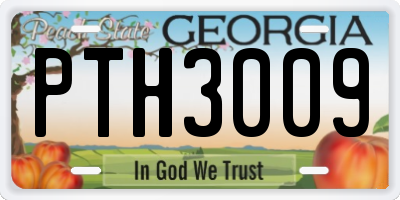 GA license plate PTH3009