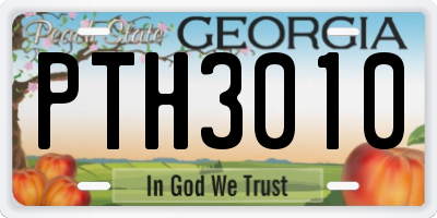 GA license plate PTH3010