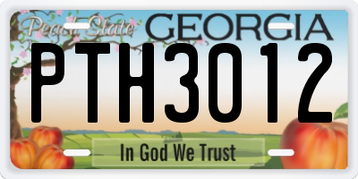 GA license plate PTH3012