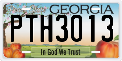 GA license plate PTH3013