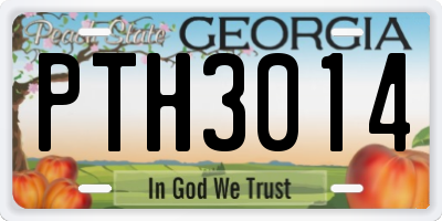 GA license plate PTH3014