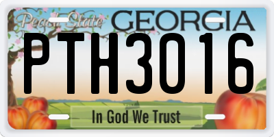 GA license plate PTH3016