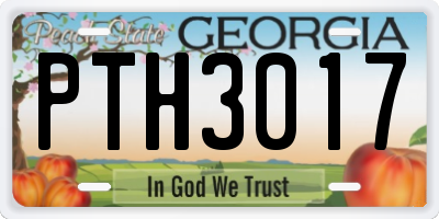 GA license plate PTH3017