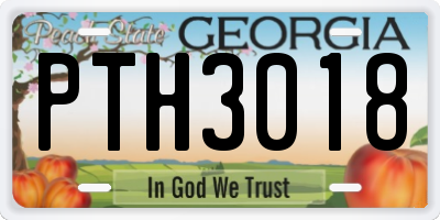GA license plate PTH3018