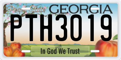GA license plate PTH3019