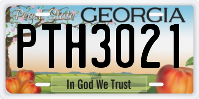 GA license plate PTH3021