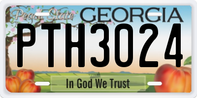 GA license plate PTH3024