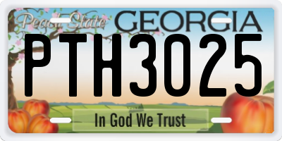 GA license plate PTH3025