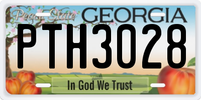 GA license plate PTH3028