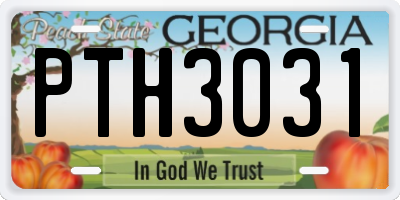GA license plate PTH3031