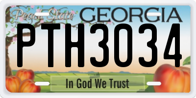 GA license plate PTH3034