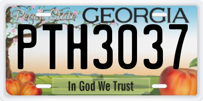 GA license plate PTH3037