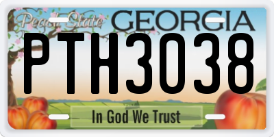 GA license plate PTH3038